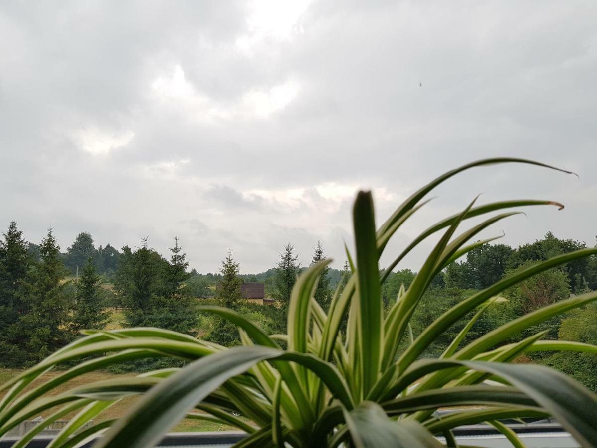Pokoje Przy Zamku Podzamcze  Экстерьер фото
