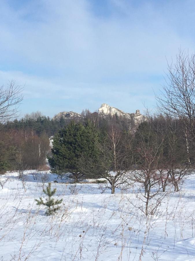 Pokoje Przy Zamku Podzamcze  Экстерьер фото