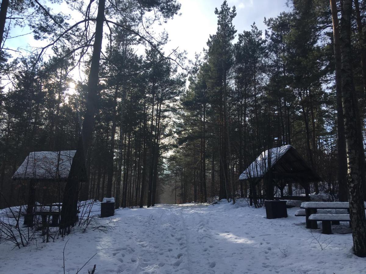 Pokoje Przy Zamku Podzamcze  Экстерьер фото