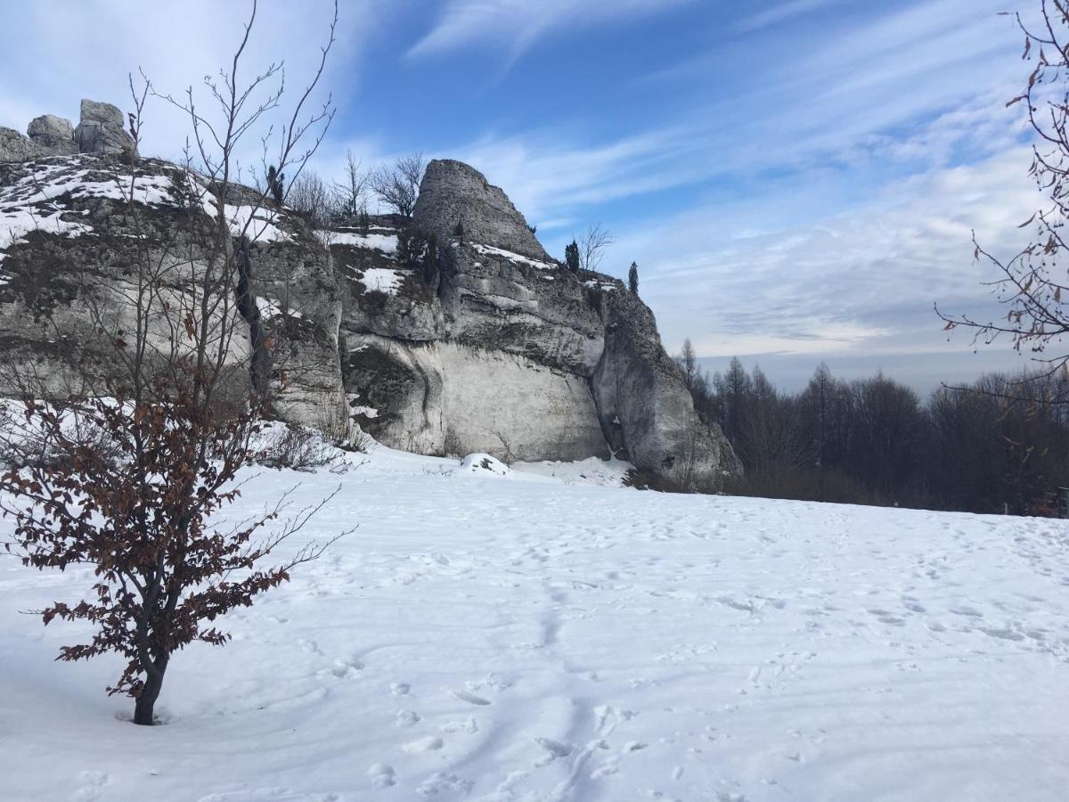 Pokoje Przy Zamku Podzamcze  Экстерьер фото
