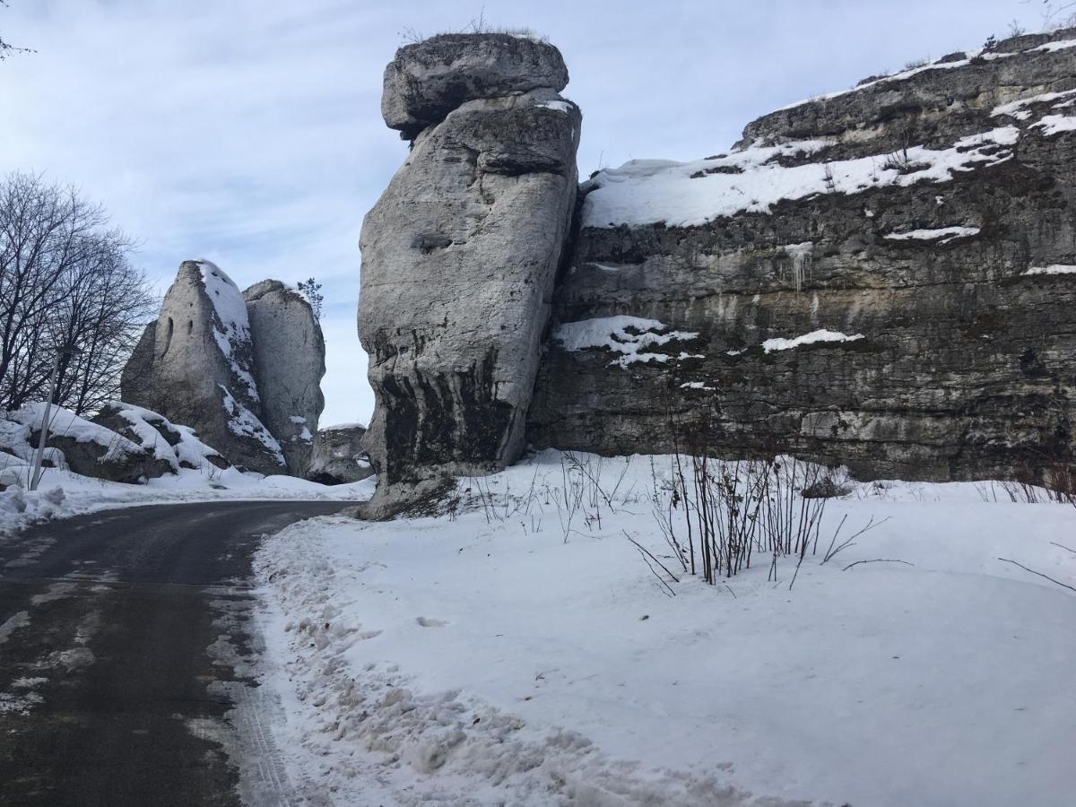 Pokoje Przy Zamku Podzamcze  Экстерьер фото